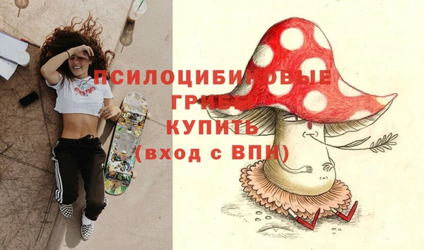 MDMA Бородино