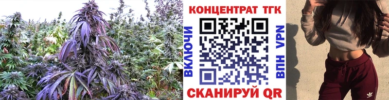 наркошоп  Нариманов  ТГК гашишное масло 